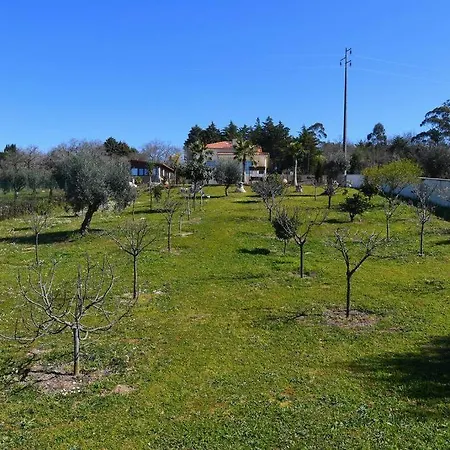 Villa Quinta Dos Silvas - Piscina